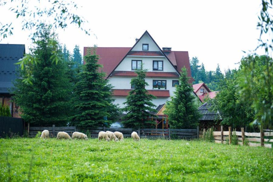 Osrodek Wczasowo-Kolonijny Gron Bed and Breakfast Biały Dunajec Εξωτερικό φωτογραφία